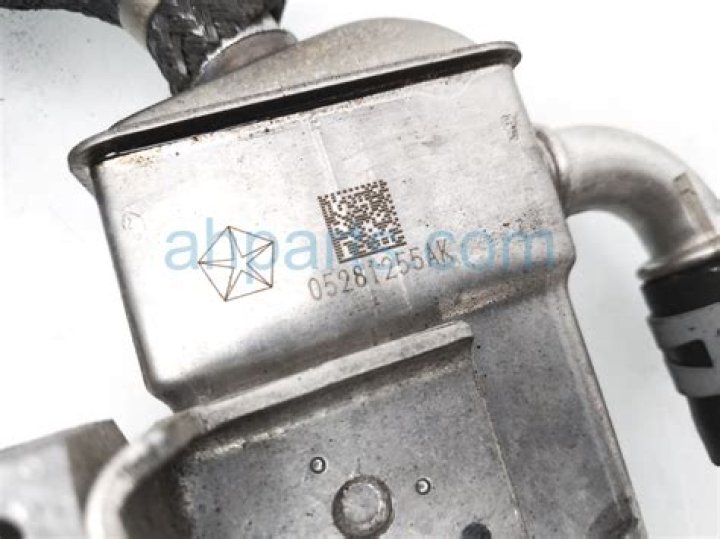 Alex Molcan Net Worth: Details About Tennis, Career, Home, Age, Earnings - SarkariResult