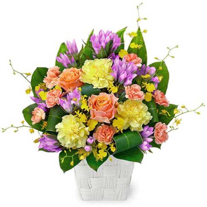 How to Fix Roku Error Code 014.50? A Complete Guide - SarkariResult