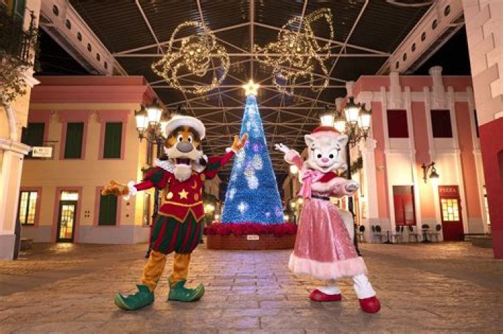 Ashton Meem’s New Husband: Know The Latest Updates About Who Is Her New Husband? - SarkariResult