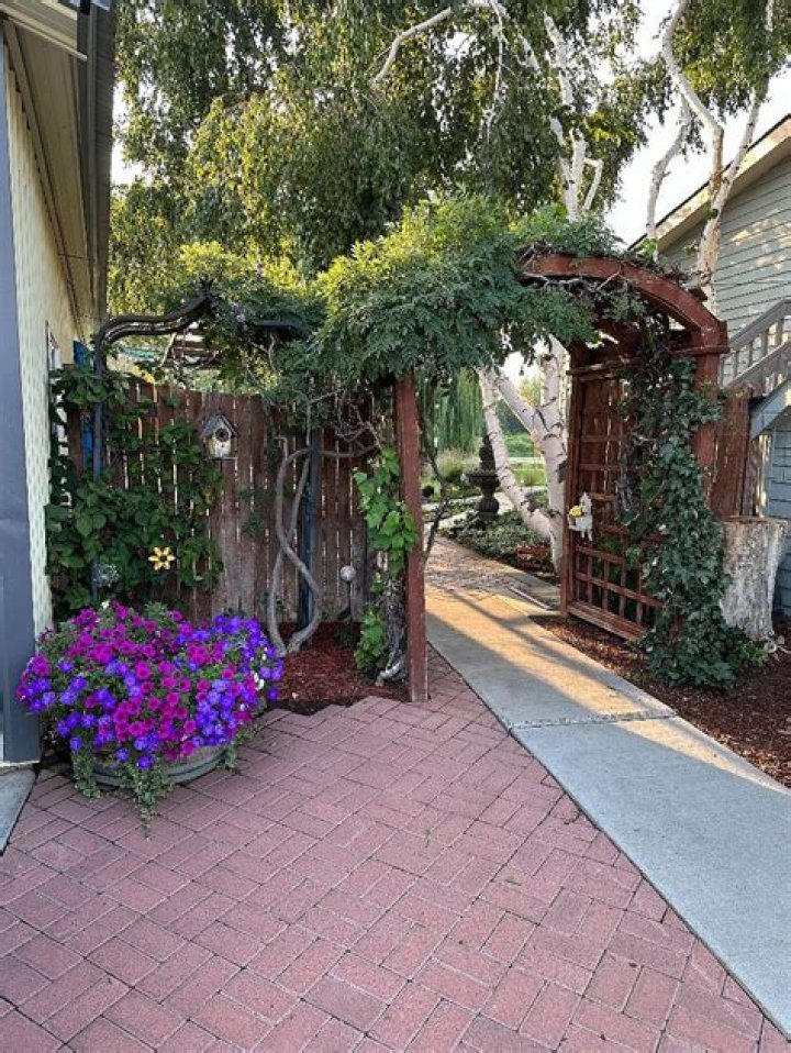 What Led to the Divorce of Ryan Garcia and Andrea Celina? A Look into the Reasons Behind Ryan Garcia and Andrea Celina's Separation. - SarkariResult