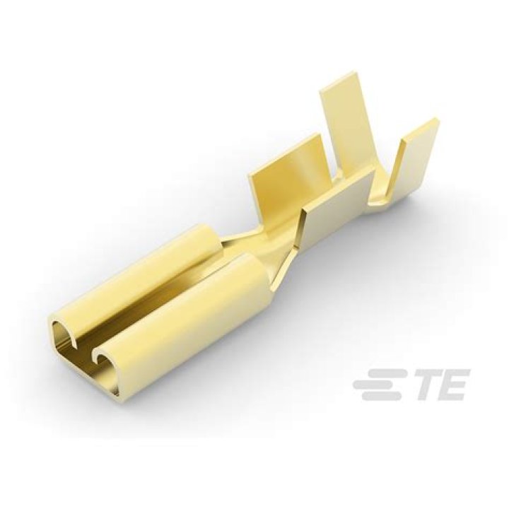 Amy Shira Teitel's Health Update: What happened to Amy Shira Teitel? Which type of health issue / Illness she have? - SarkariResult