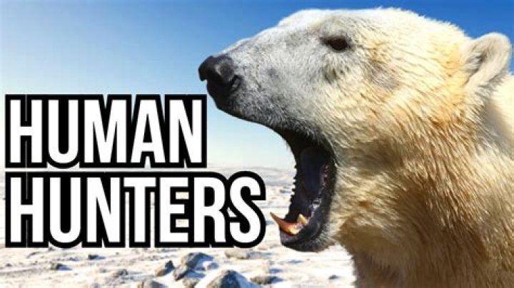 The Savage Predators: Animals That Target Humans