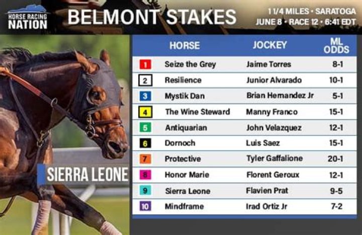 Discover The Winner And Beyond