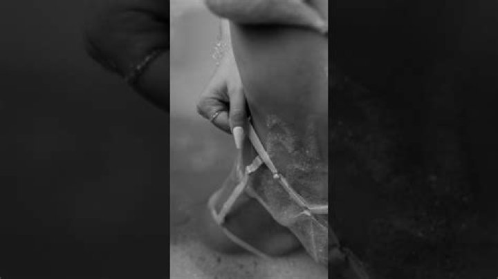 Uncensored Camilla Araujo Fap Videos - Free HD Porn