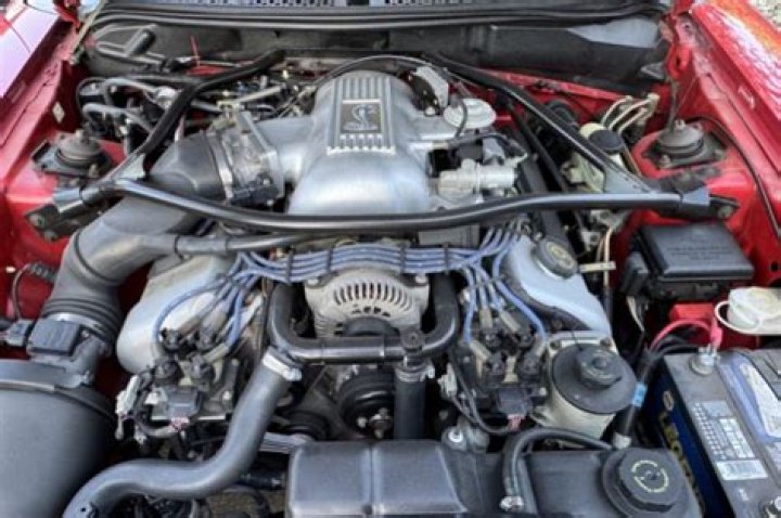 Nev Schulman Wife Laure Perlongo, Relationship, Kids, How Did They Meet, Net Worth