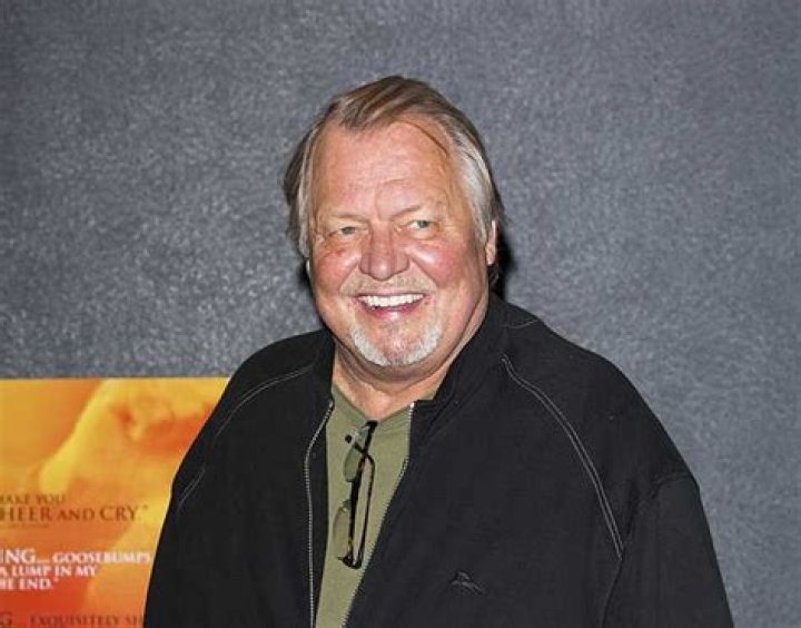David Soul's Net Worth: A Detailed Look Into His Wealth