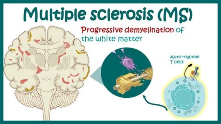 Uncovering The Truths And Inspiring Hope