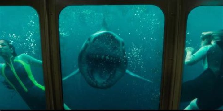 Was Sasha's Fate Sealed In "47 Meters Down: Uncaged"? - Spoiler Alert