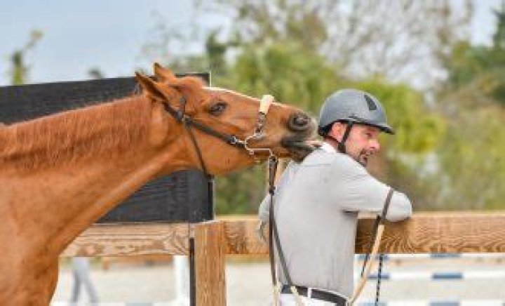 Equestrian Craig Starr's Accident And Its Aftermath