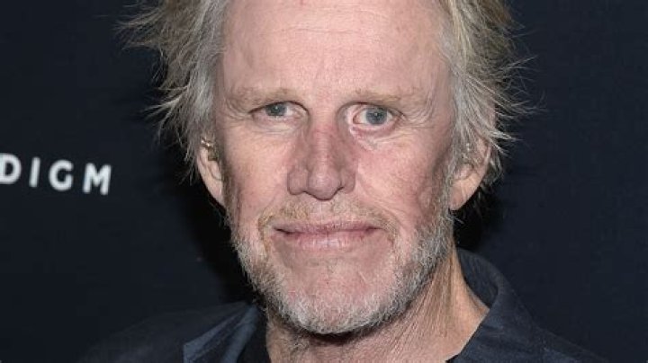 Gary Busey's Unforgettable Eye: A Guide To His Distinctive Profile