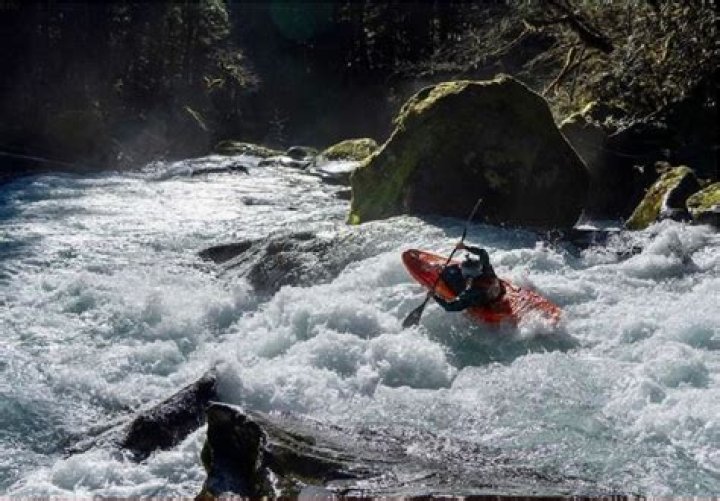 Kayak Accident, Death, And Wikipedia Insights