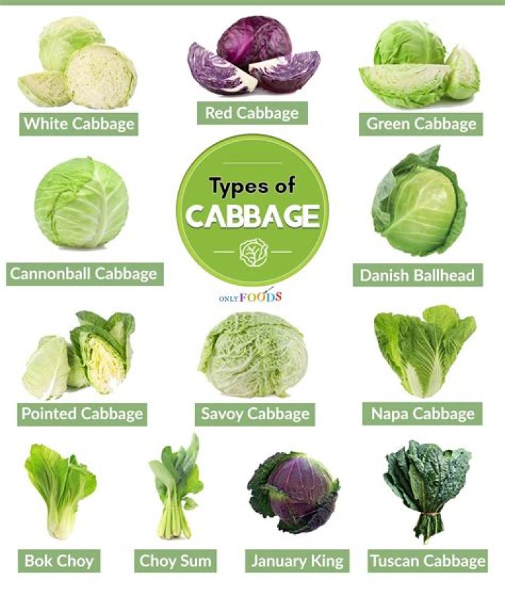 Green Cabbage Vs Purple Cabbage: Nutritional And Culinary Differences