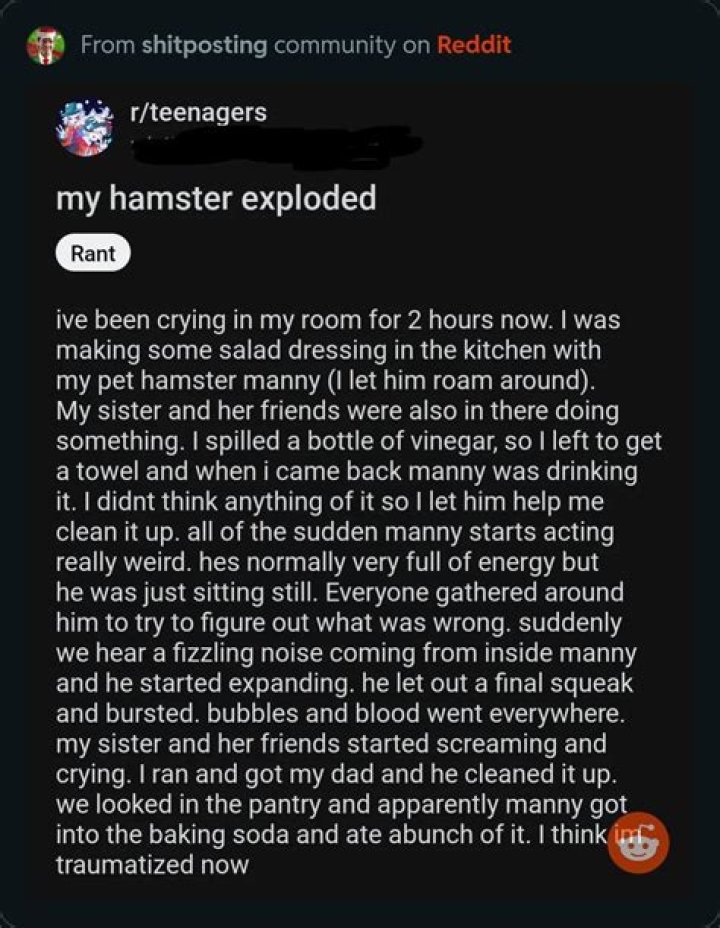 Unveiling Hamster Baking Soda's Hidden Benefits And Secrets