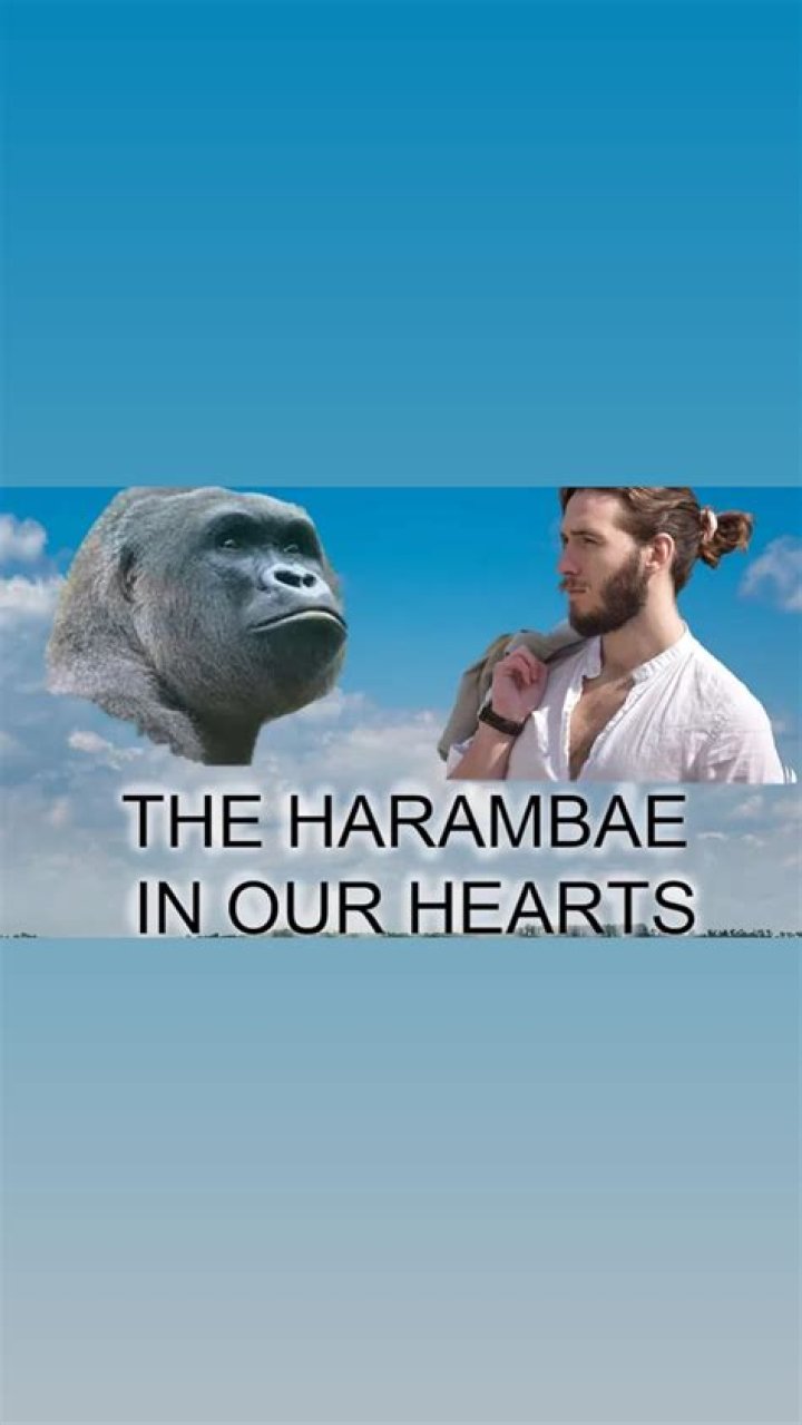 The Enduring Legacy Of Harambe: Remembering A Beloved Icon