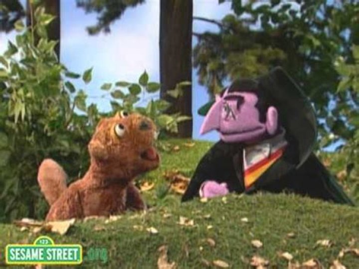 The Ultimate Guide: How Much Wood Can A Woodchuck Really Chuck?