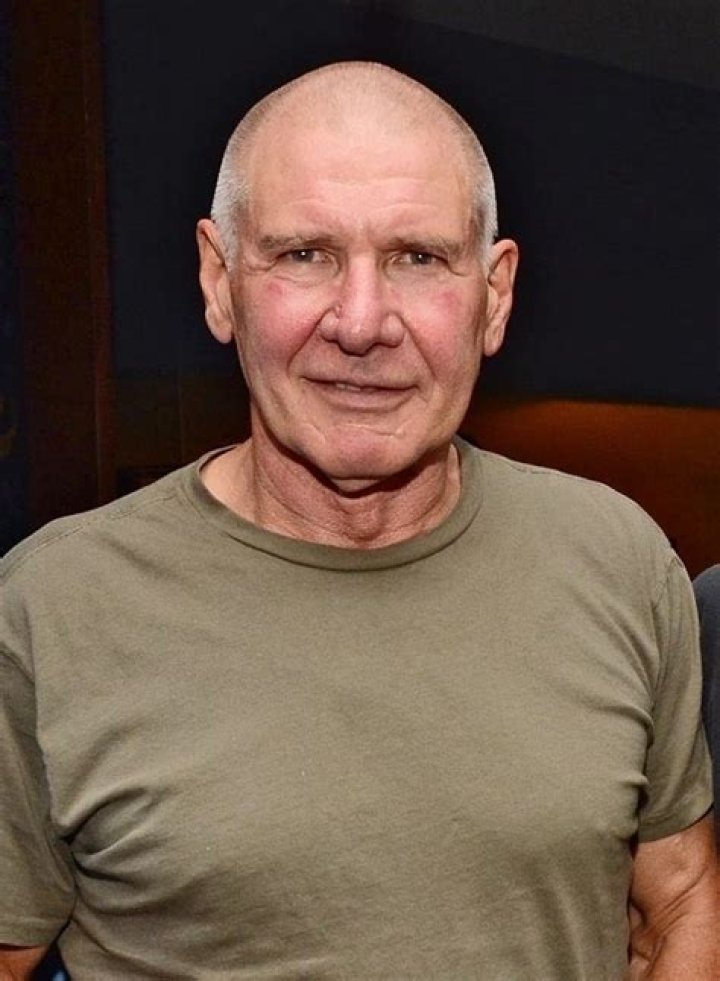 Is Harrison Ford Bald? | Complete Guide And Analysis
