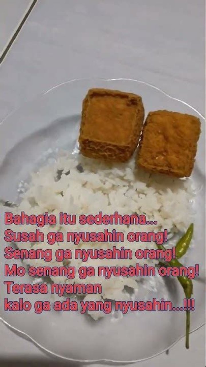 Who Is Amy Silverstein? Find Her Wikipedia, Married Life, & Net Worth