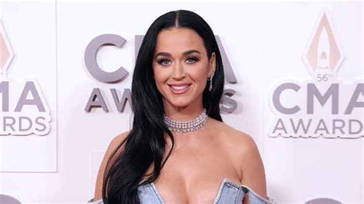 Katy Perry Accused Of Mom-Shaming American Idol Contestant Hollywood Life |