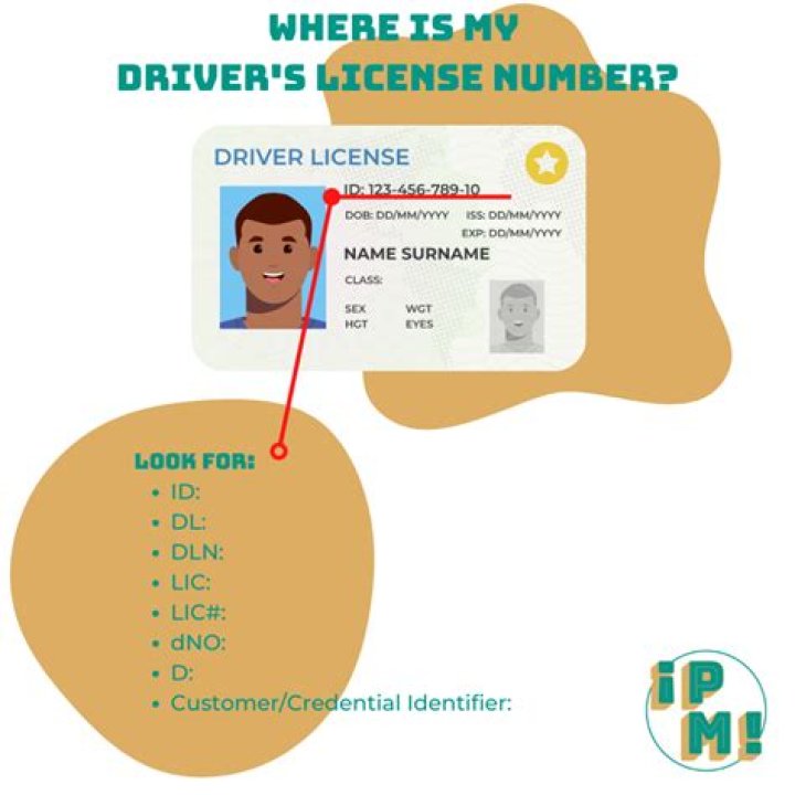Discover The Essential Location For Your License Number: A Comprehensive Guide