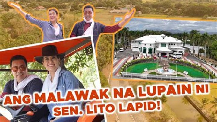 Lito Lapid's Wife To Run For Public Office In 2024