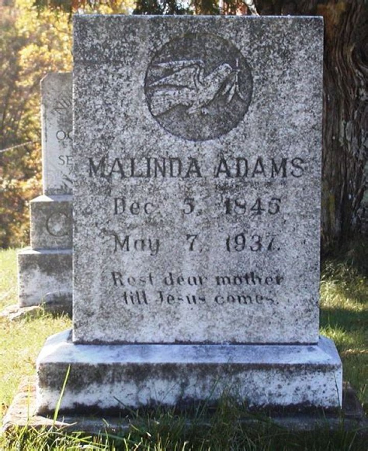 The Ultimate Malinda Adams Wikipedia Guide | Everything You Need To Know