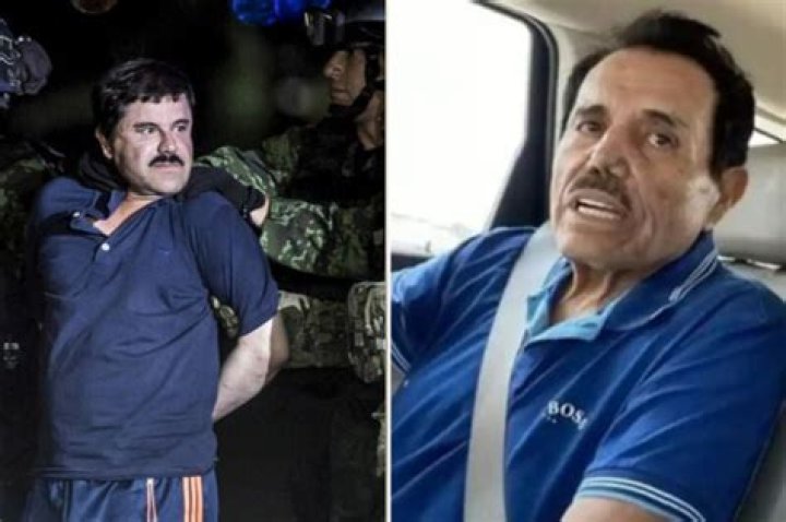 Discoveries In Mayo Zambada's Net Worth