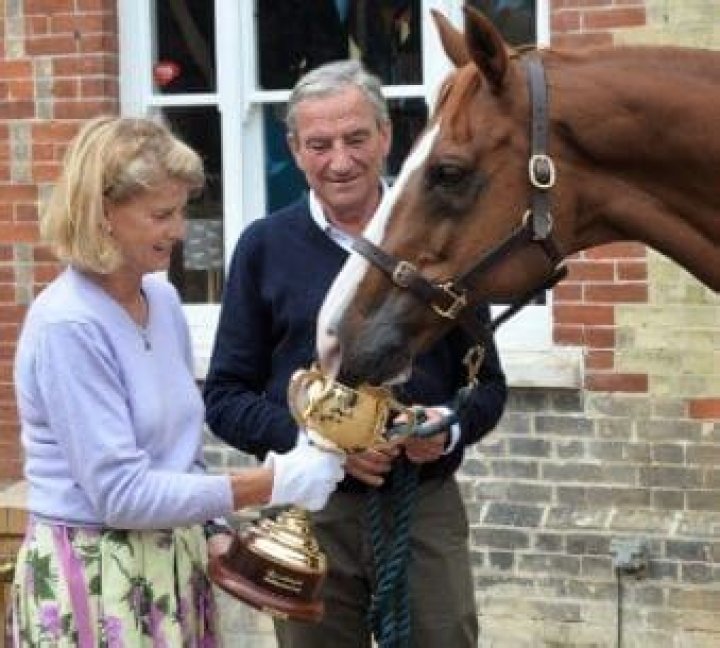 Unlocking The Secrets Of Legendary Horse Trainer Luca Cumani