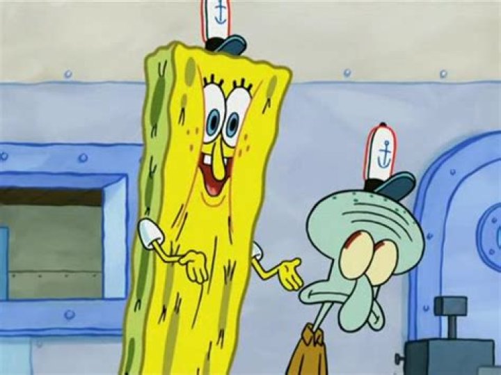 The Ultimate Guide To Model Sponges: Enhancing Your Model Workflow