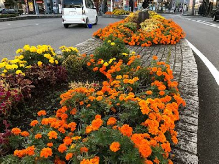 JadeVibe | TJ Watt Becomes Fourth Fastest Player To 60 Sack