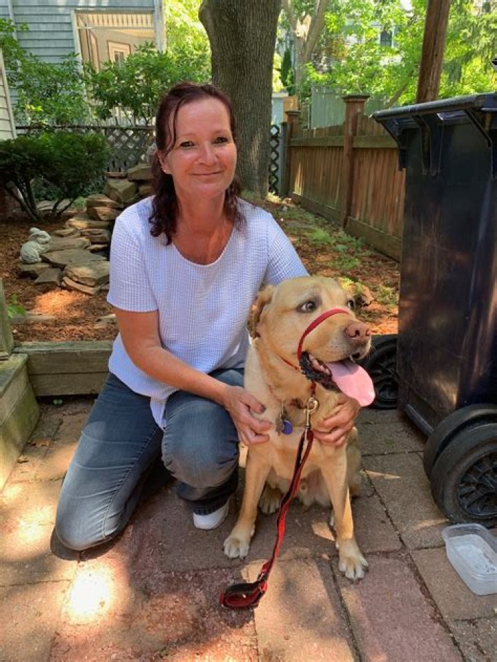 The Ultimate Guide To Nancy McGeoghean: Everything You Need To Know