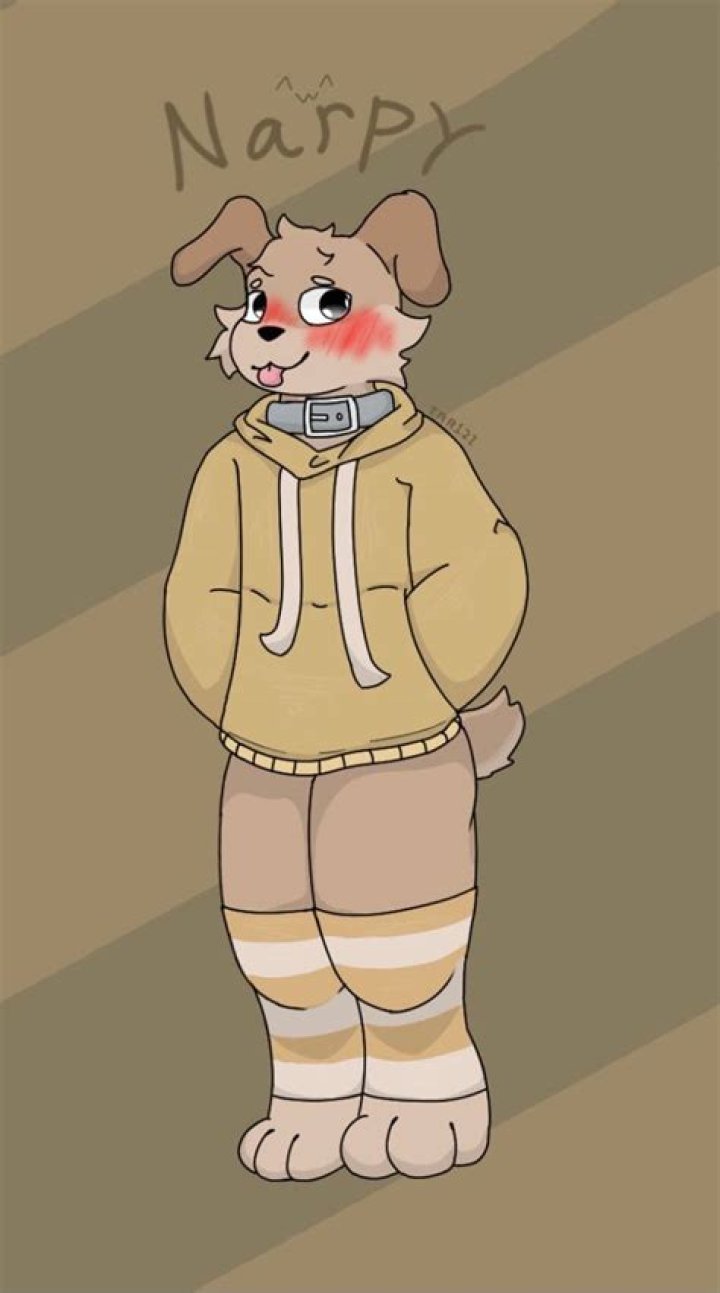 Narpy Face: The Ultimate Guide To Understanding And Using It