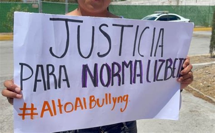 Insights Into The "Norma Lizbeth Bullying Video Viral"