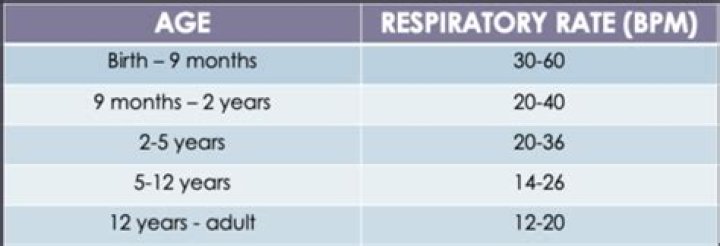 Optimal Respiration Rates For Infants: A Comprehensive Guide