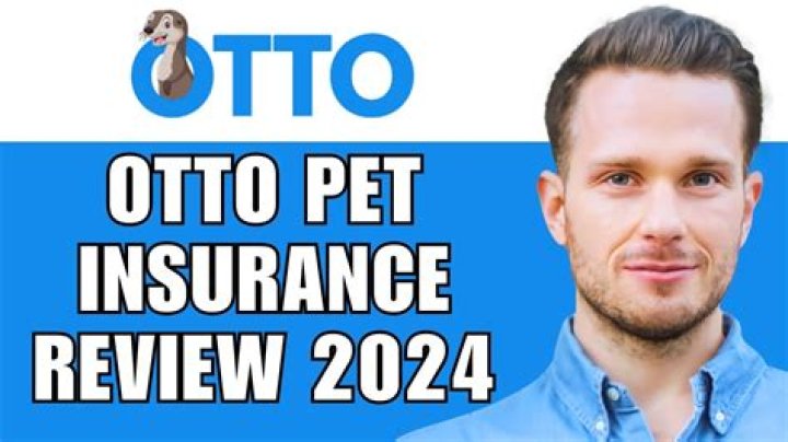 Discoveries And Insights Into Otto Pet Insurance