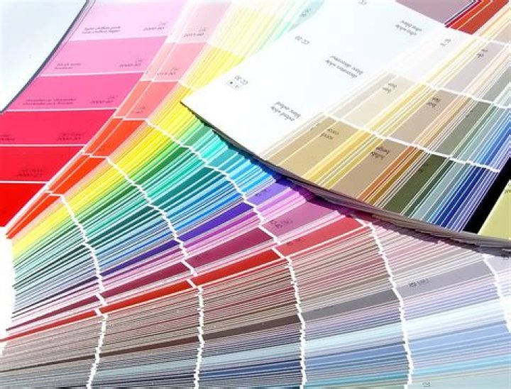 Free Paint Samples: Discover Endless Color Options