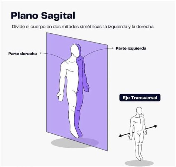 Anatomy 101: Understanding The Importance Of The Sagittal Plane