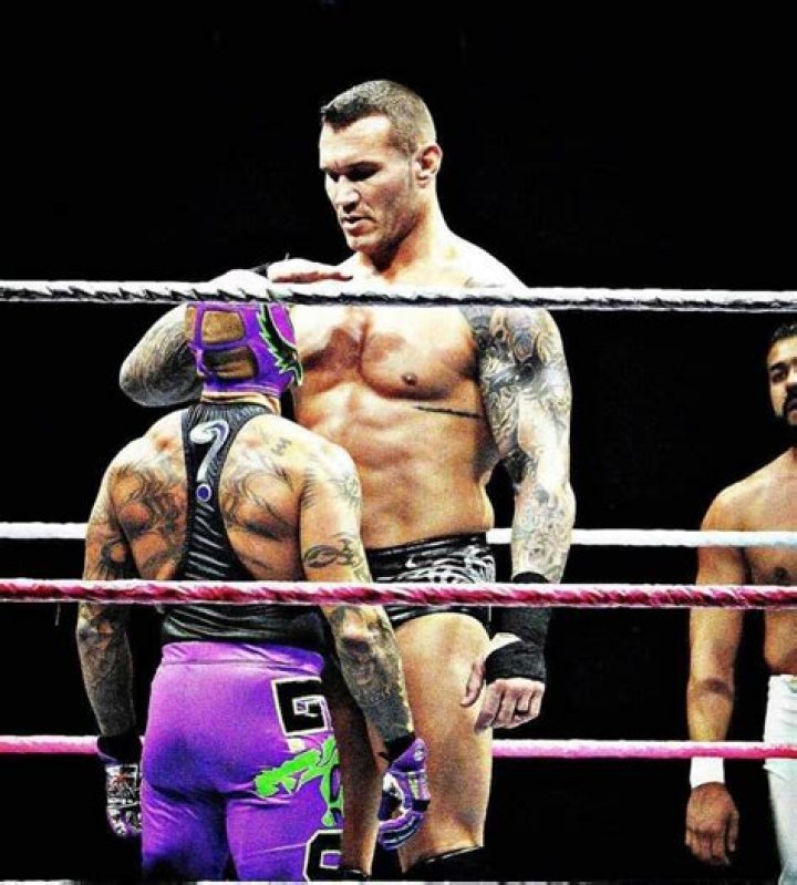 All You Need To Know About Randy Orton's Ethnic Background