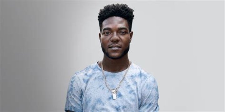 Meet Reggie The Chi: Your Ultimate Guide To This Adorable Dog Breed