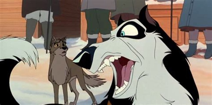 Unveiling The Truth Behind The "Rocky Mountain Teacher Xaviera Steele Fight Video"