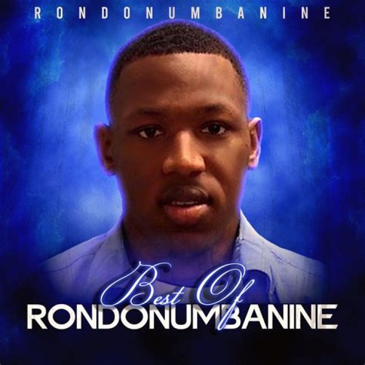 Unveiling Rondonumbanine's Financial Empire: Discoveries And Insights