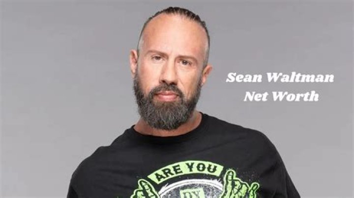 Unveiling Sean Waltman's Net Worth: Secrets And Revelations Exposed