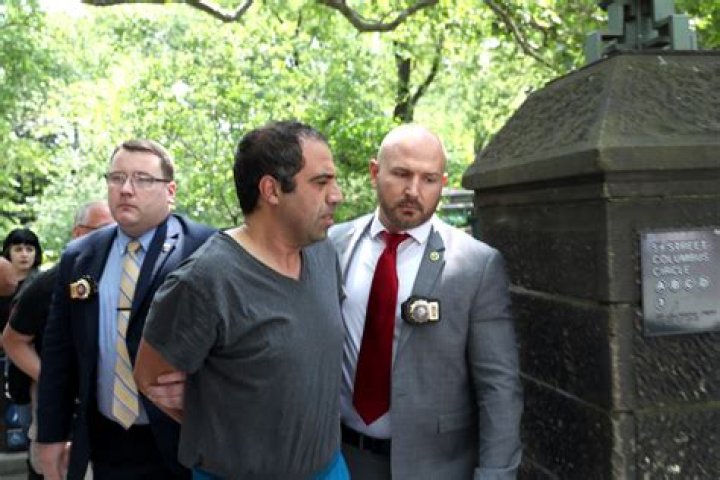 The Ultimate Guide To Seeding Your Semrade Collection