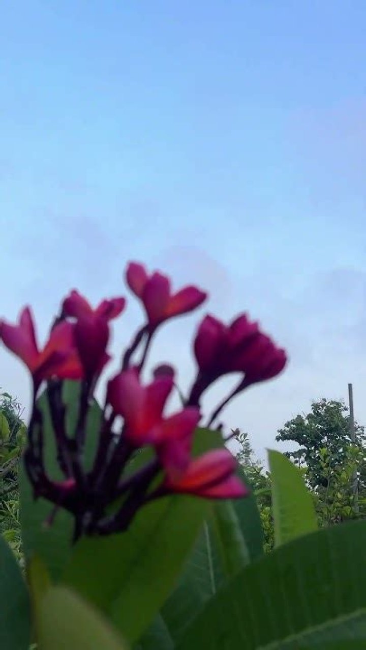 What Is Rita Wilson Ethnicity? Biography, Height, Weight, Age, Husband, Net Worth, Age