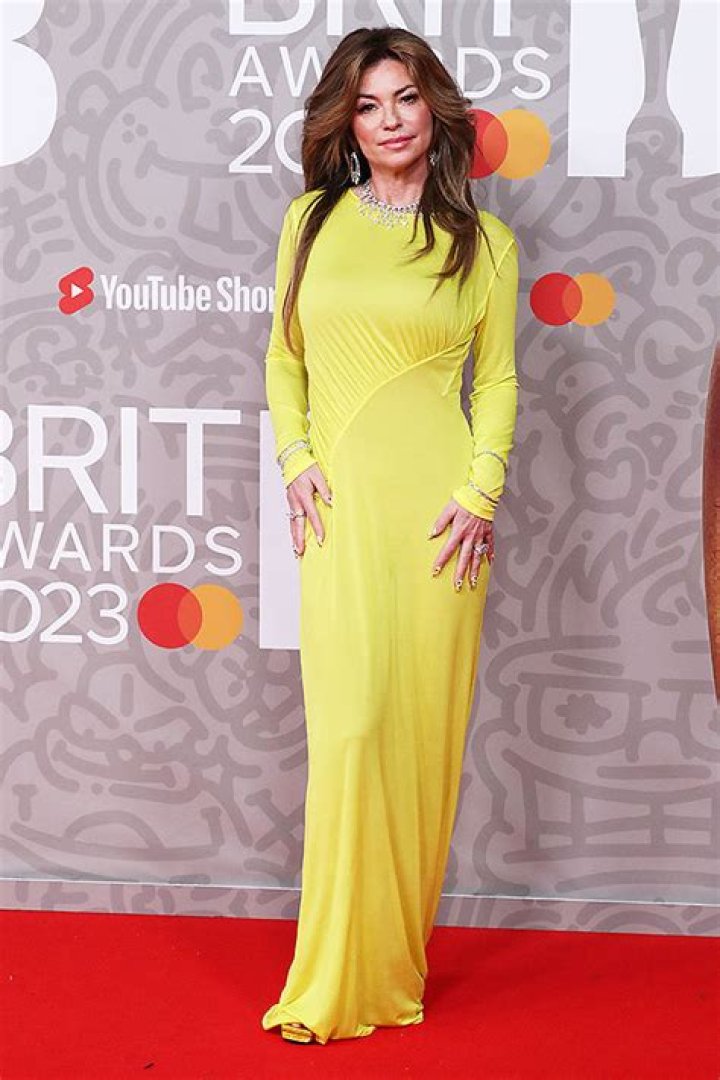 Shania Twain Reveals If She Met Brad Pitt After Singing About Him Hollywood Life |