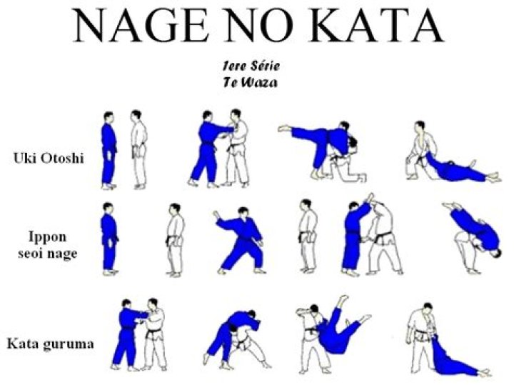 Ultimate Guide To Master Te Waza Techniques