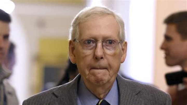 Insights Into Mitch McConnell's Daughters And American Politics