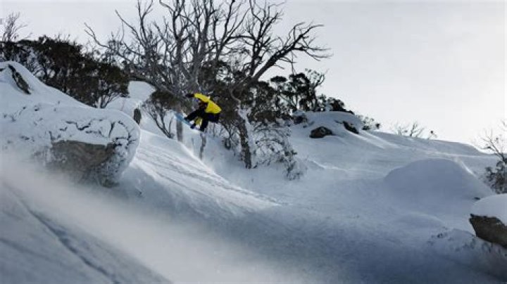 Essential Safety Insights For Adventure