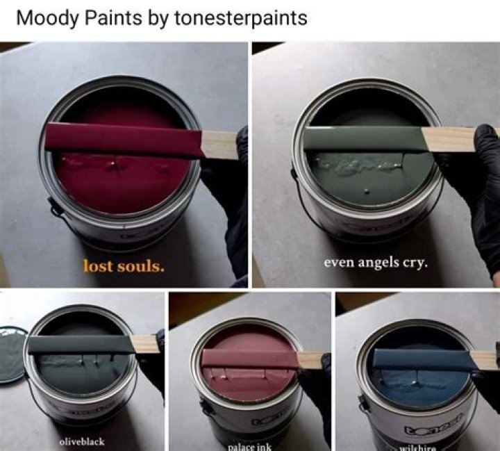 Discover The Fascinating World Of Tonester Paints: Age, Height, Nationality Unveiled