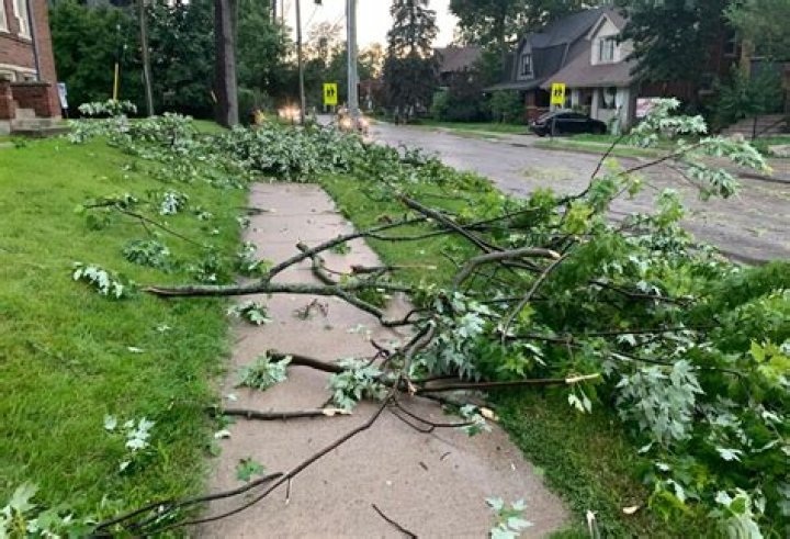 Remembering Mike Lacasse, Hudson Valley Advocate