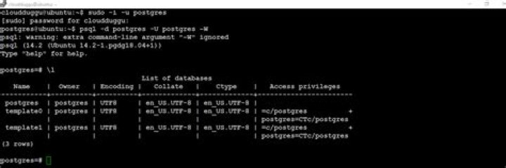 The Ultimate Guide To Using PostgreSQL On Ubuntu